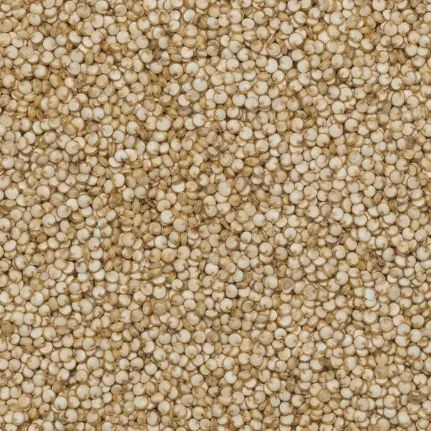 Raw organic quinoa grains from Whole Food Earth, non-GMO and natural, in a clear container showing small, light-colored seeds.