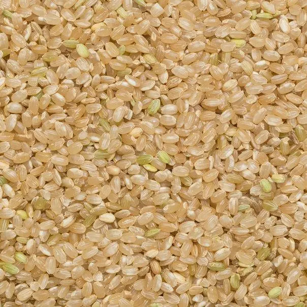 Organic short grain brown rice from Whole Food Earth, GMO-free rice and couscous product, showing the rice grains in a bowl.