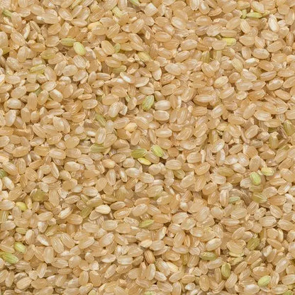 Organic short grain brown rice from Whole Food Earth, GMO-free rice and couscous product, showing the rice grains in a bowl.