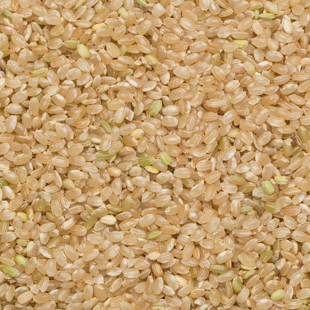 Organic short grain brown rice from Whole Food Earth, GMO-free, shown in a clear bag with rice grains visible.