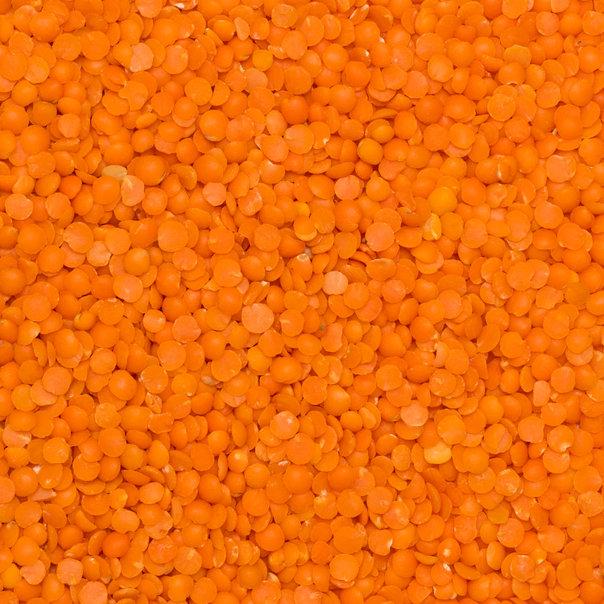 Red split lentils from Whole Food Earth, natural vegan beans and pulses, GMO-free and dairy-free, shown in a close-up image.