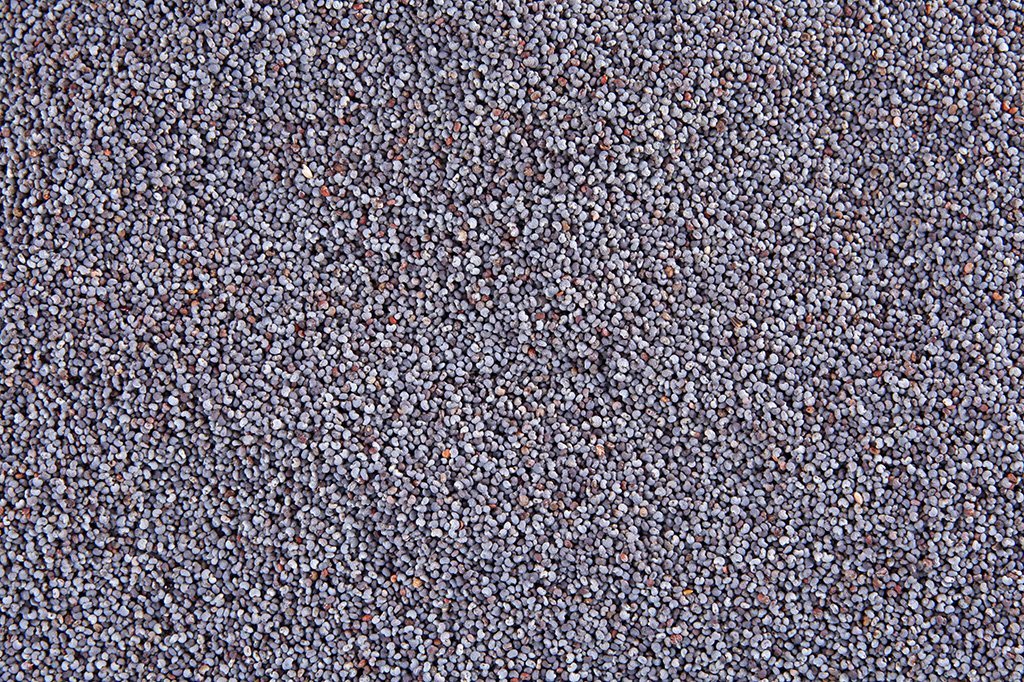 Unwashed raw poppy seeds from Whole Food Earth, GMO-free, showing small blue-gray seeds in a natural pile.