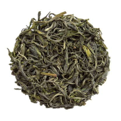 PekoeTea Edinburgh Xin Yang Mao Jian green tea leaves with jade-green tips, fresh and whole, in a clear tea container.
